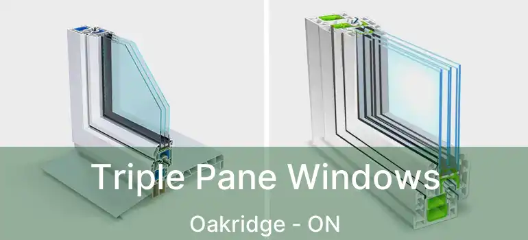  Triple Pane Windows Oakridge - ON