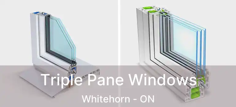 Triple Pane Windows Whitehorn - ON