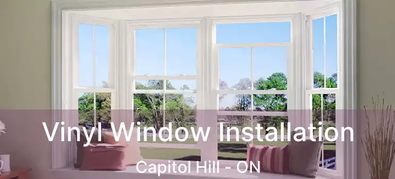  Vinyl Window Installation Capitol Hill - ON