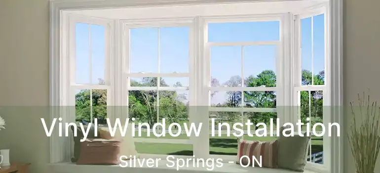  Vinyl Window Installation Silver Springs - ON