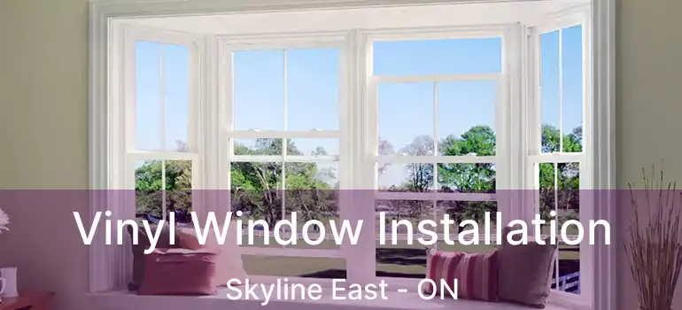  Vinyl Window Installation Skyline East - ON