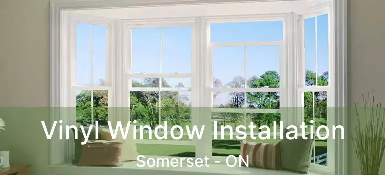  Vinyl Window Installation Somerset - ON