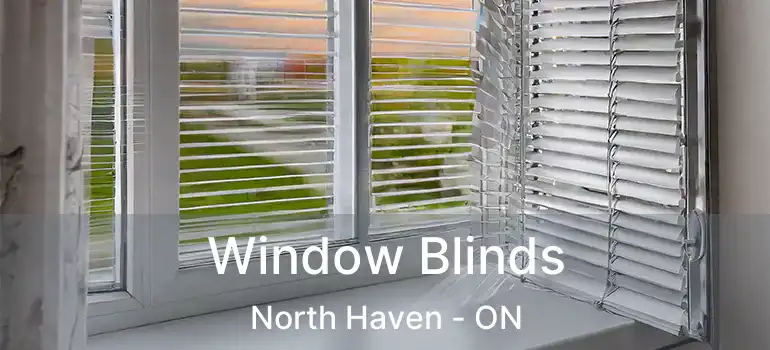  Window Blinds North Haven - ON