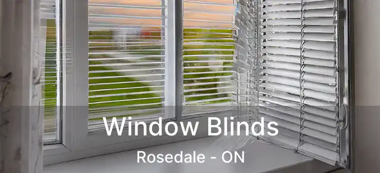  Window Blinds Rosedale - ON