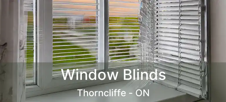  Window Blinds Thorncliffe - ON