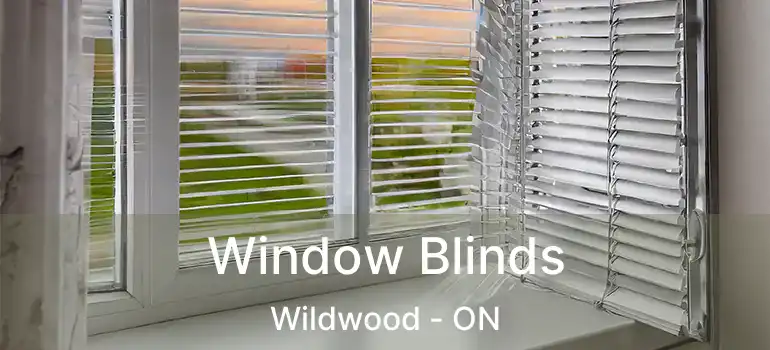  Window Blinds Wildwood - ON