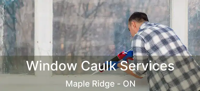 Window Caulk Services Maple Ridge - ON