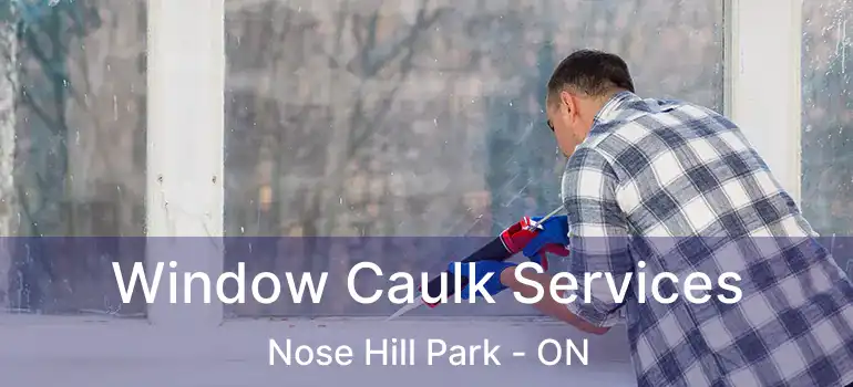  Window Caulk Services Nose Hill Park - ON