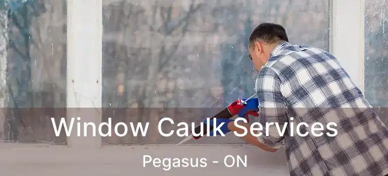  Window Caulk Services Pegasus - ON