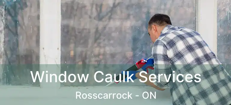 Window Caulk Services Rosscarrock - ON