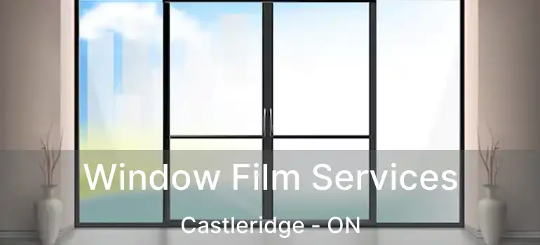  Window Film Services Castleridge - ON