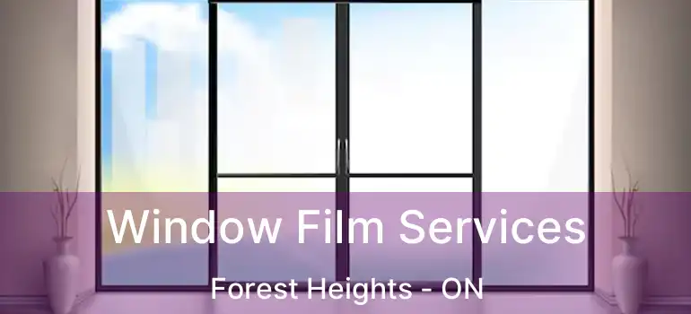  Window Film Services Forest Heights - ON