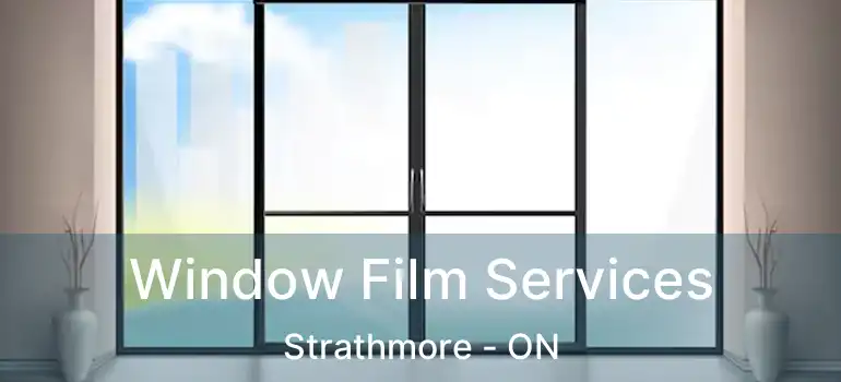  Window Film Services Strathmore - ON