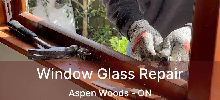  Window Glass Repair Aspen Woods - ON