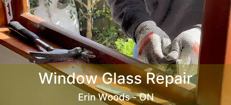  Window Glass Repair Erin Woods - ON