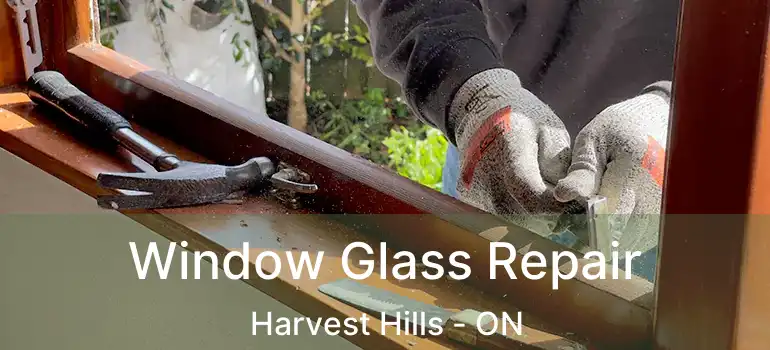  Window Glass Repair Harvest Hills - ON