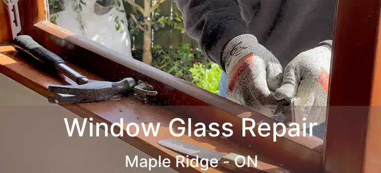  Window Glass Repair Maple Ridge - ON