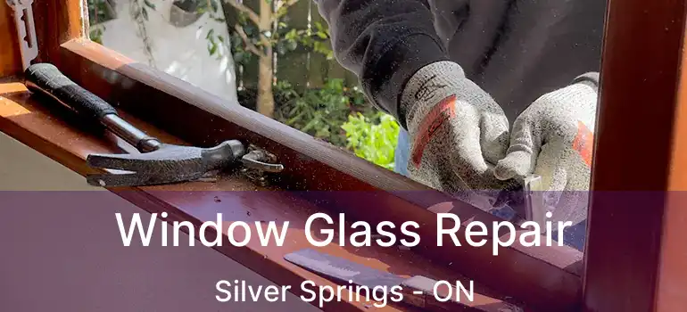  Window Glass Repair Silver Springs - ON