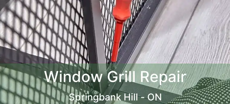  Window Grill Repair Springbank Hill - ON