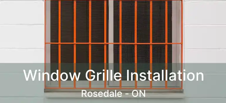  Window Grille Installation Rosedale - ON