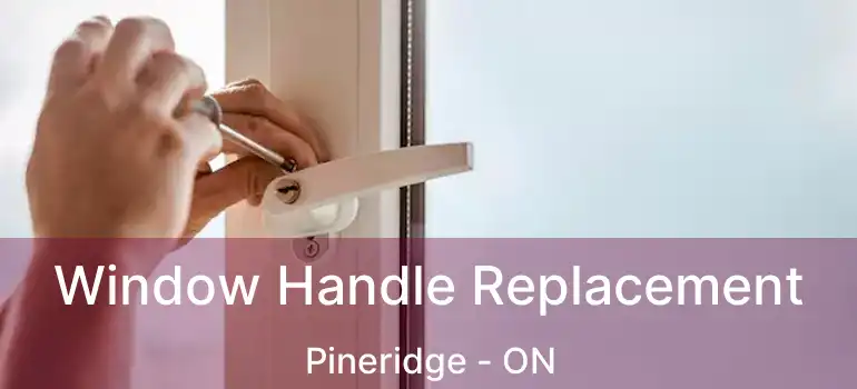  Window Handle Replacement Pineridge - ON