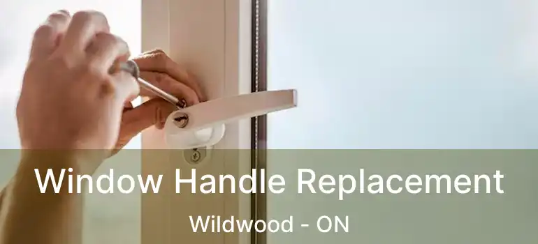  Window Handle Replacement Wildwood - ON