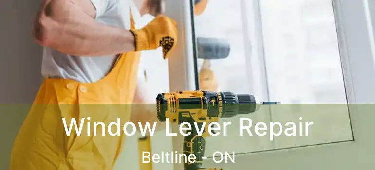  Window Lever Repair Beltline - ON