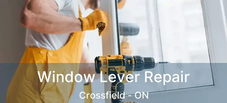  Window Lever Repair Crossfield - ON