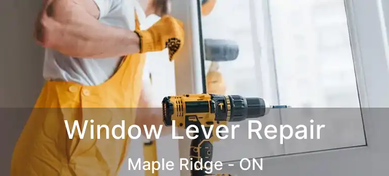  Window Lever Repair Maple Ridge - ON
