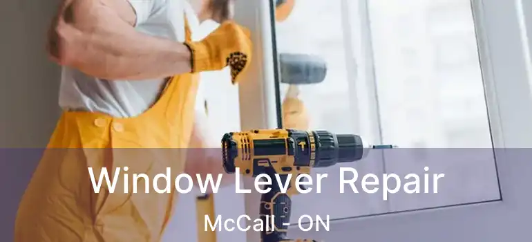  Window Lever Repair McCall - ON