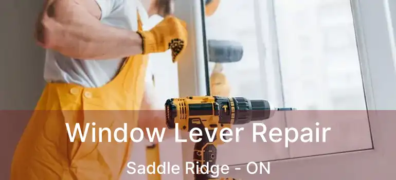  Window Lever Repair Saddle Ridge - ON