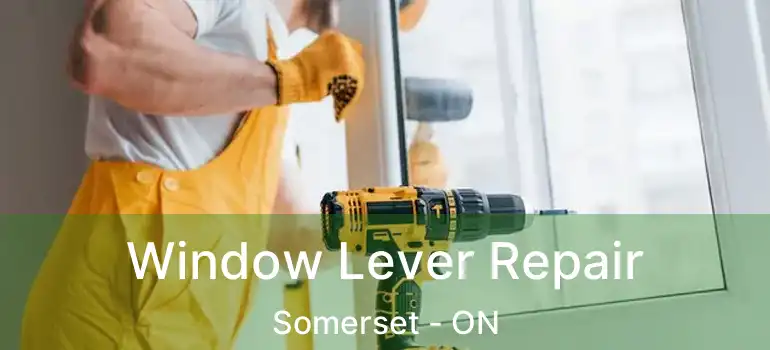  Window Lever Repair Somerset - ON