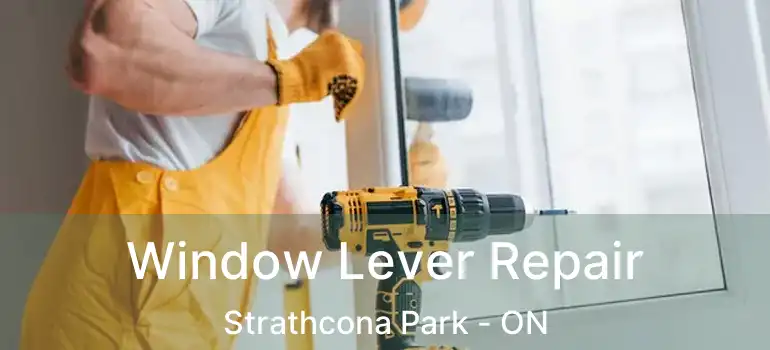  Window Lever Repair Strathcona Park - ON