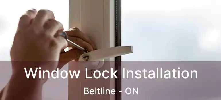  Window Lock Installation Beltline - ON
