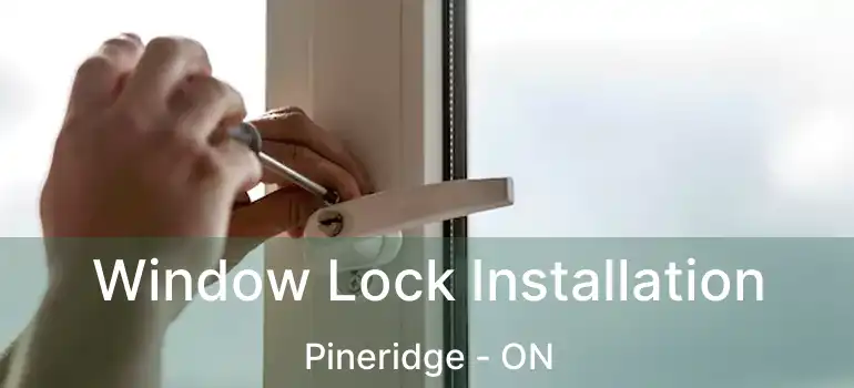  Window Lock Installation Pineridge - ON