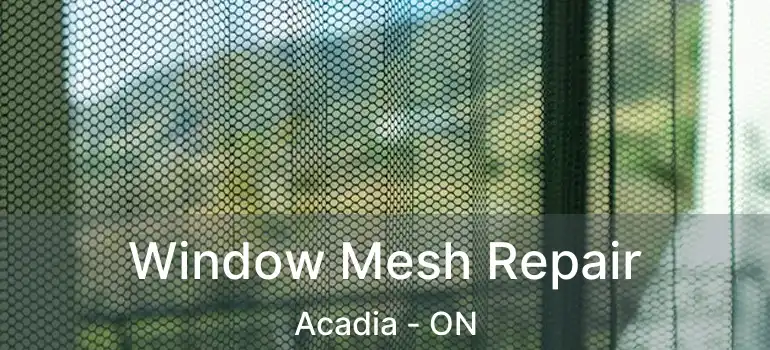  Window Mesh Repair Acadia - ON