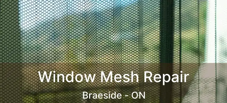  Window Mesh Repair Braeside - ON