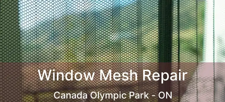  Window Mesh Repair Canada Olympic Park - ON