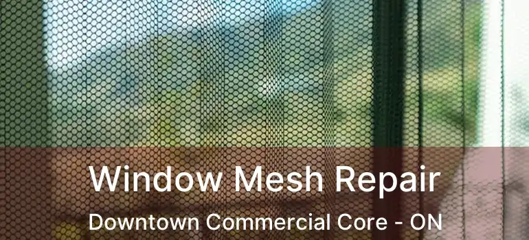  Window Mesh Repair Downtown Commercial Core - ON