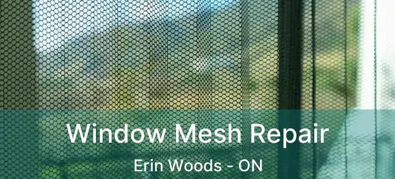  Window Mesh Repair Erin Woods - ON