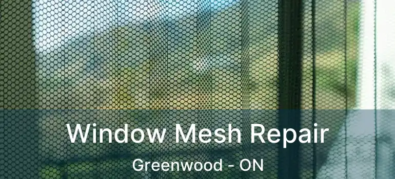  Window Mesh Repair Greenwood - ON
