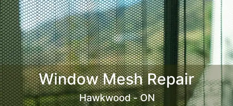  Window Mesh Repair Hawkwood - ON