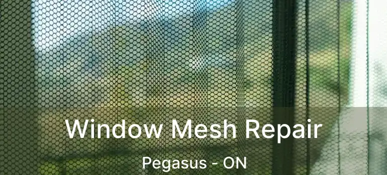  Window Mesh Repair Pegasus - ON