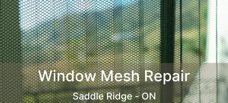  Window Mesh Repair Saddle Ridge - ON