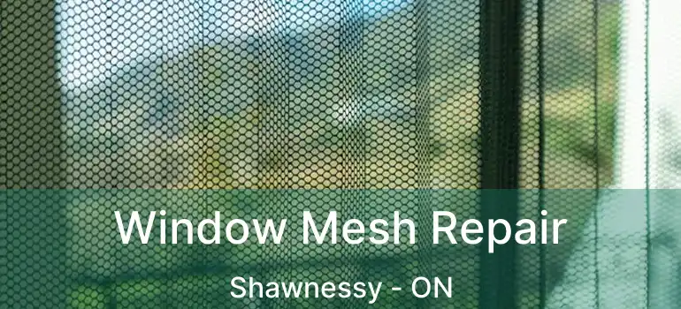  Window Mesh Repair Shawnessy - ON