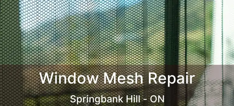  Window Mesh Repair Springbank Hill - ON