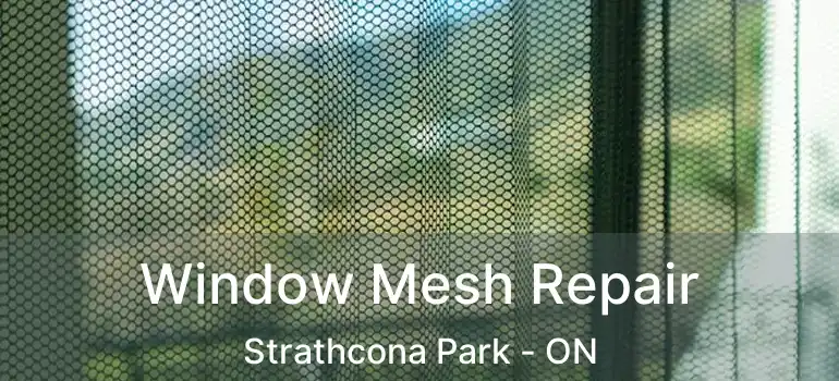  Window Mesh Repair Strathcona Park - ON