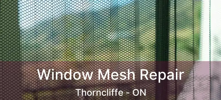  Window Mesh Repair Thorncliffe - ON