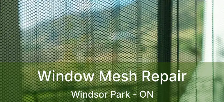  Window Mesh Repair Windsor Park - ON