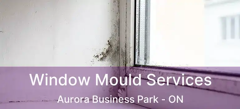  Window Mould Services Aurora Business Park - ON